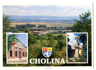 Cholina č.266